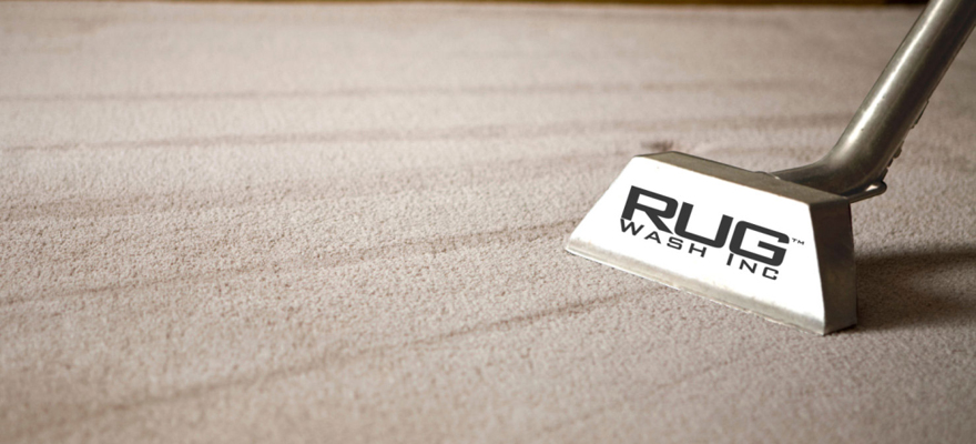 Organic Green Carpet Cleaning