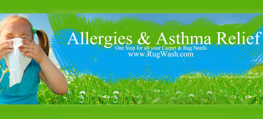 Non-Toxic & Chemical Free